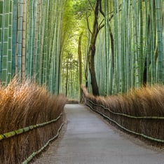 Japan’s Market Evolution: Capturing Opportunity in a Shifting Landscape image