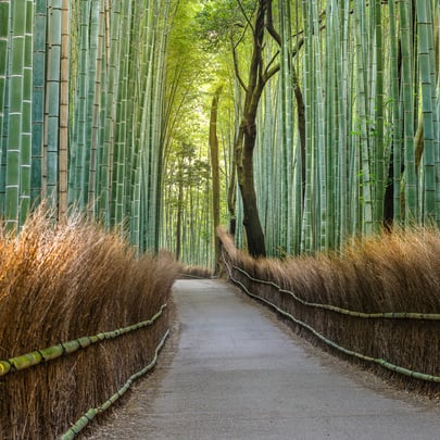 Japan’s Market Evolution: Capturing Opportunity in a Shifting Landscape image