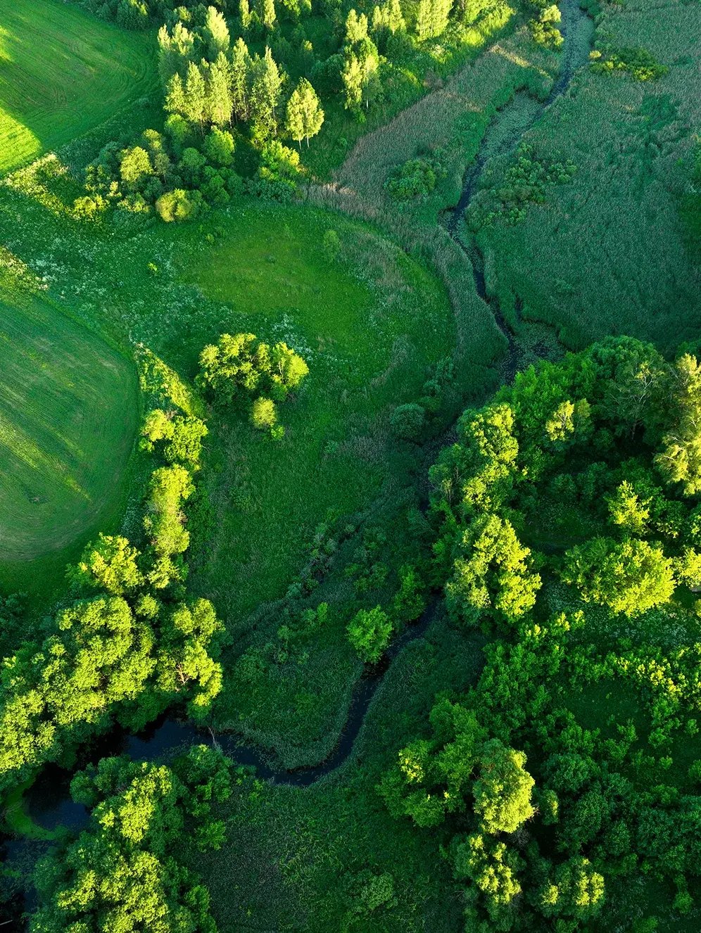 river from above
